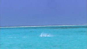 Острова Бора Бора (Bora Bora Islands)