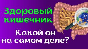 Комплекс для микробиоты кишечника от VILAVI