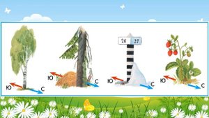 Ориентирование по местным признакам , Окружающий мир 3 класс ч 1, с 13 14, Планета знаний