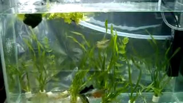 20 литров смотреть онлайн