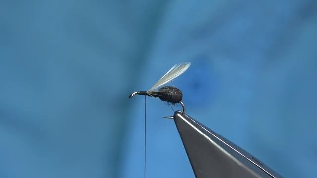 Tying a Foam Black Ant (Dry Fly) with Davie McPhail смотреть онлайн