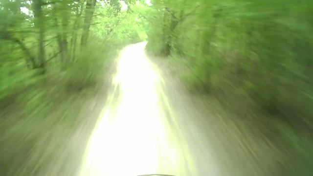 Крымский лес смотреть онлайн