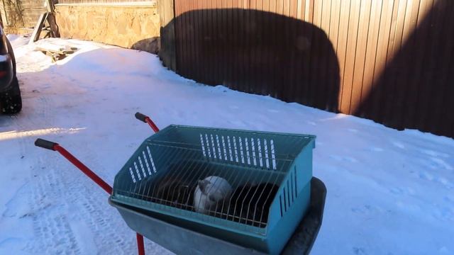 У нас минус 30 градусов ЖДЁМ покупателей из СПб 02.01.24