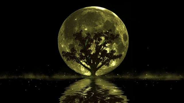 Андрей Миля | Падающие звёзды смотреть онлайн