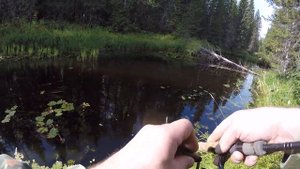 спиннинг gad chaser 3-14, рыбалка на лесной речке, твич