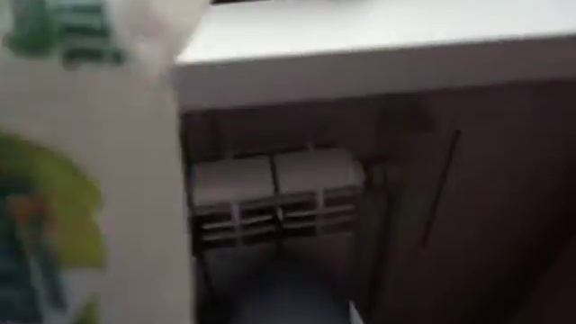 Что находиться в моей сумке смотреть онлайн