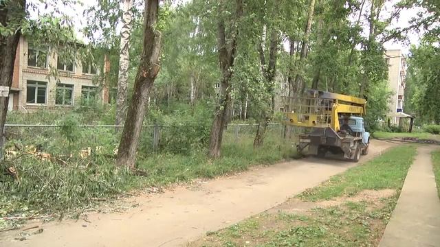 Летние новости: 10 августа 2018