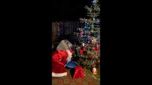 Дед Мороз, принёс подарки и показал короткий номер!