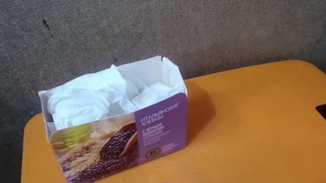 Как я ухаживаю за гладиолусами(см.описание!)