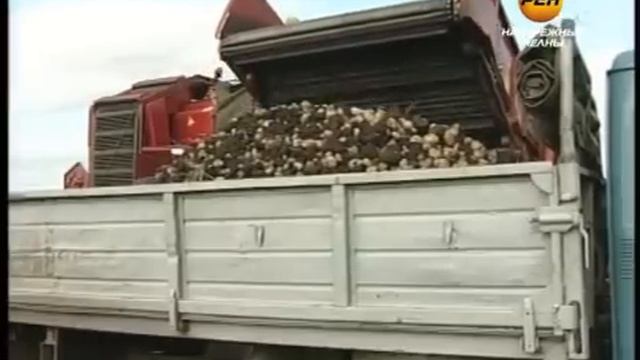 Горячая пора для аграриев