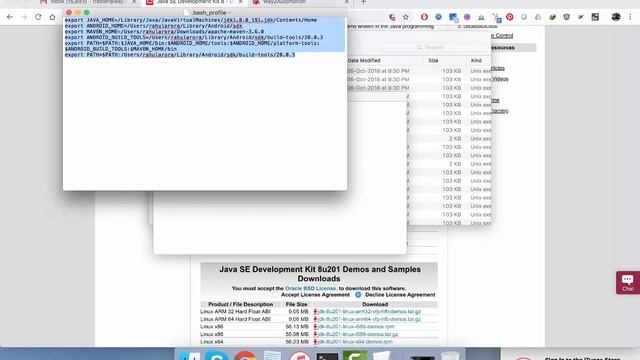 Selenium Tutorial - Lecture 11 - Configuring Java on MAC смотреть онлайн