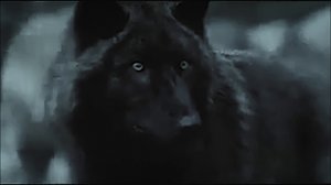 побег