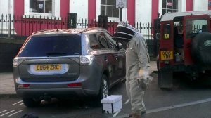 Рой из 20 тысяч пчёл два дня преследовал автомобиль женщины