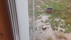 Водосток по цепи, дождевая цепь