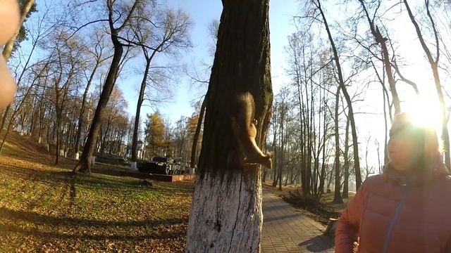 Кормление белки в городском парке!!!!