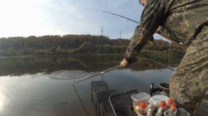 Дружеский батл по фидерной ловле на реке Оке Калужской области, октябрь 2020