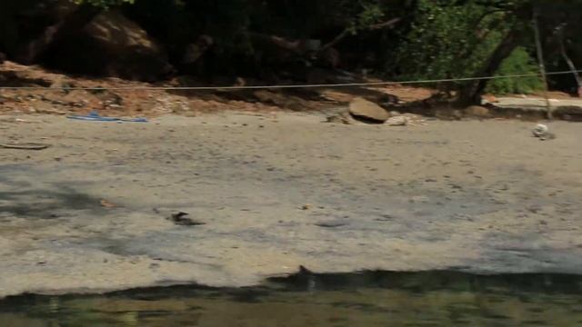 Крабики часть2. Klong Muang Beach смотреть онлайн