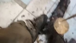 Жёсткий способ наказать того, кто ворует дрова.