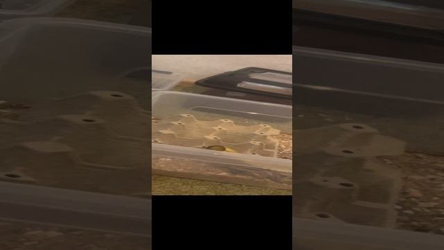 Новости магазина