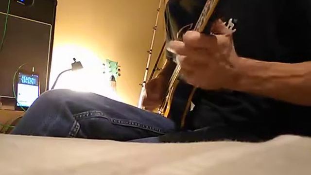 little of Jimmy Sage...On a OEM Chibson! смотреть онлайн