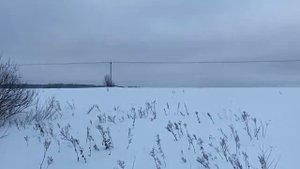 Полевой выход на лыжах (13.01.2024 г.)