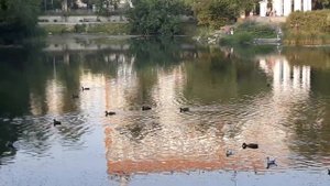 Харитоновский парк. Екатеринбург. Покой и умиротворение в центре города.