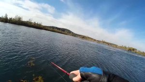 Щука на ZipBaits ридж 90F / рыбалка на щуку осенью