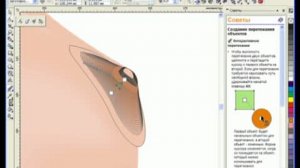 Corel Draw видео урок