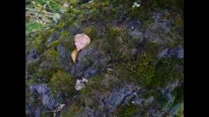 Александр Кальянов - Завтра сентябрь