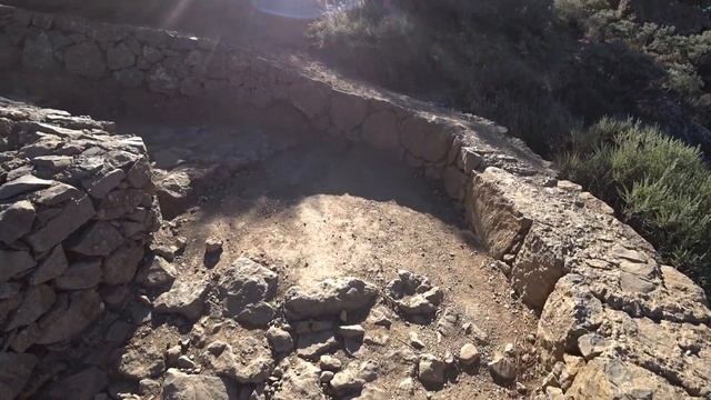 Актуально ли разведение перепелов в следующим году?