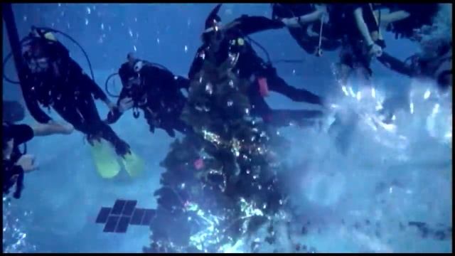 Первый Хабаровский дайв-центр. Старый-Новый год.mpg смотреть онлайн