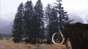 Мамонт - титан ледникового периода _ Часть 2 _ Истории ледникового периода