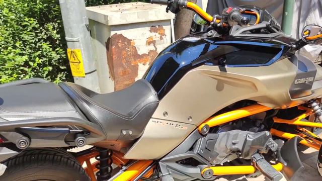 АНТАЛИЯ. Видео для тех, кто любит животных. улица Ишиклар в Турции. Калеичи. смотреть онлайн