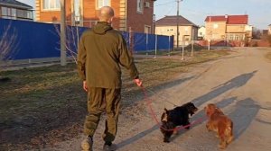 Живём на ЮГЕ/Весна в ЕЙСКЕ/Обзор района ПОЛЕ СЛЁЗ!