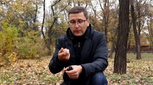 Грецкие орехи, в чем польза?