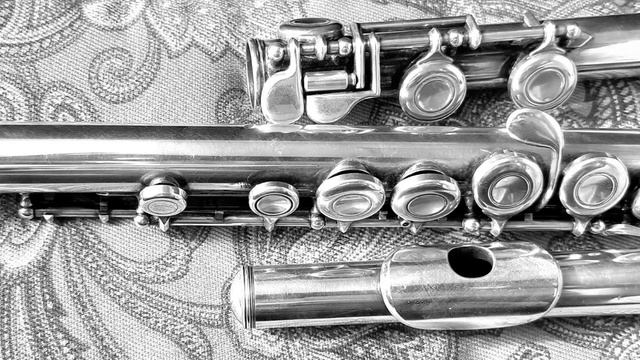 Supplementary Study #15 смотреть онлайн