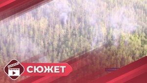 Режим ЧС по пожарам объявлен в Олекминском районе Якутии