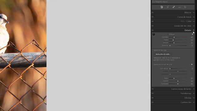 NUEVA ACTUALIZACION de Adobe Lightroom 2023 смотреть онлайн