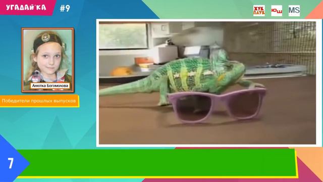 САМОЕ ДРЕВНЕЕ ДОМАШНЕЕ ЖИВОТНОЕ смотреть онлайн