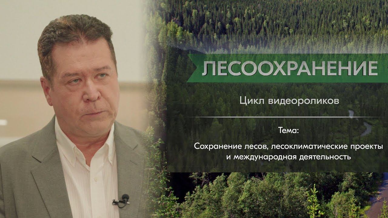 Лобовиков М. А.: сохранение лесов, лесоклиматические проекты и международная деятельность