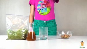 Чернила из дубовых галлов