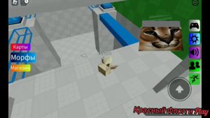 КАК НАЙТИ ФЛОПП В КАРТЕ КОМАНДНАЯ ИГРА 🎮  9/9 FIND THE FLOPPA MORPHS