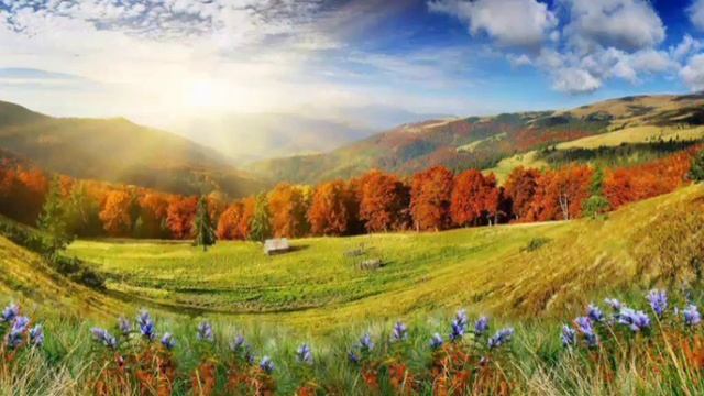 Звуки природы перед рассветом. Медитация. Пение птиц смотреть онлайн