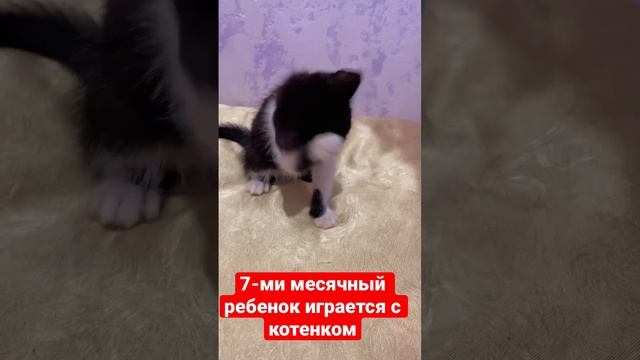 7-ми месячный ребенок играется с котенком?/подпишитесь на мой канал/буду вкладывпть детей и смешные смотреть онлайн