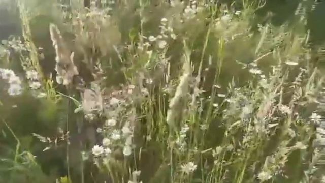 Встретил её и проблемы исчезли смотреть онлайн