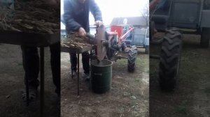 Переработка стебля махорки зернодробилкой, с приводом от мотоблока.