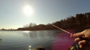 Весенний окунь на Aiko tirrel