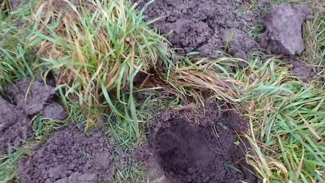 Волшебное озеро! Часть II Находки сыпались как из рога изобилия! смотреть онлайн