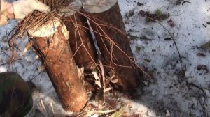 Древесная свеча из трех поленьев