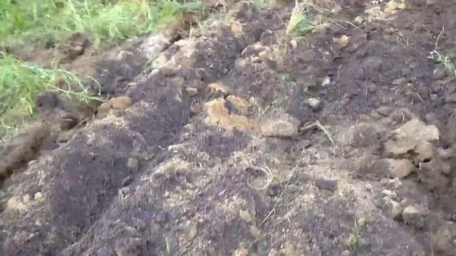 Копаем металлалом трактором ДТ 75 на заброшенной тракторной бригаде.
